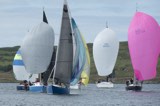 scintilla of the sea 920y general whyw24 sun 750 6481